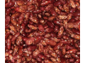 buy-red-speckled-kidney-beans-online-at-lowest-prices-small-0