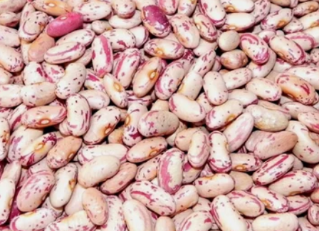 order-light-speckled-kidney-beans-for-sale-big-0