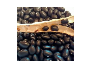 Buy Best Quality Black Kidney Beans