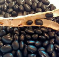 buy-best-quality-black-kidney-beans-big-0