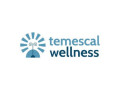 temescal-wellness-of-massachusetts-small-0
