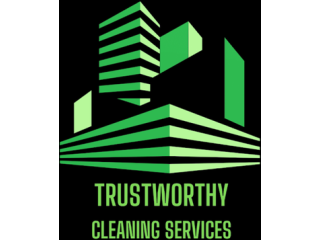Trustworthy Cleaning
