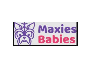 Maxine's Puppies