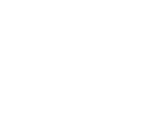 Bear Brothers Roofing