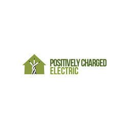 positively-charged-electric-big-0