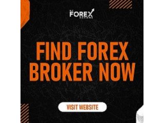 Best Forex Online Trading Platform as Per Need