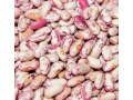 best-quality-range-of-light-speckled-kidney-beans-small-0